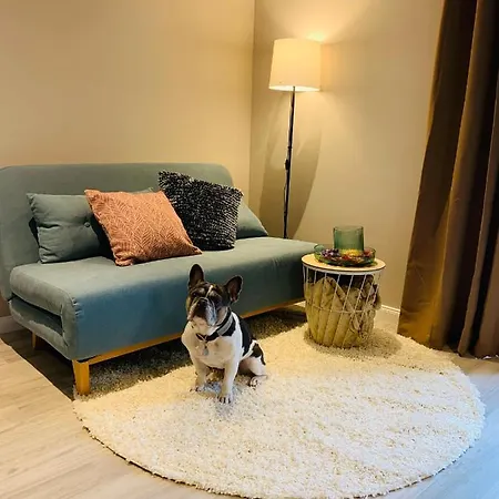 Apartment Anderswo